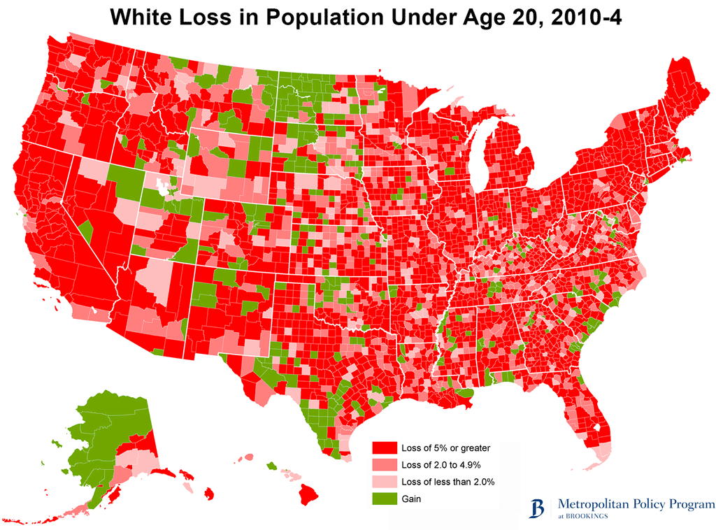 White Loss in Population Under Age 20, 2010-2014